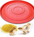 Plateau d’alimentation pour poussins – Plastique rouge antidérapant 52cm -( lot 8 )